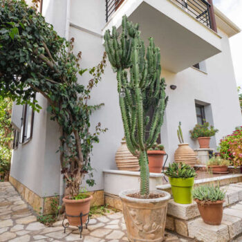 Cactus rental villa in Syvota, Greece